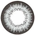 ICK Lory Grey (1 lens/pack)-Colored Contacts-UNIQSO