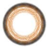 ICK Petal Brown (1 lens/pack)-Colored Contacts-UNIQSO UK