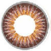 ICK Shower Brown (1 lens/pack)-Colored Contacts-UNIQSO UK