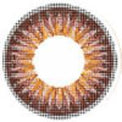 ICK Shower Brown (1 lens/pack)-Colored Contacts-UNIQSO UK