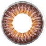 ICK Shower Brown (1 lens/pack)-Colored Contacts-UNIQSO UK