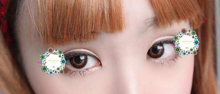 ICK Shower Brown (1 lens/pack)-Colored Contacts-UNIQSO