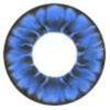 I.Fairy Tofi Blue (1 lens/pack)-Colored Contacts-UNIQSO