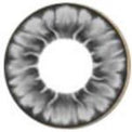 I.Fairy Tofi Grey (1 lens/pack)-Colored Contacts-UNIQSO