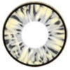 I.Fairy Cara Grey (1 lens/pack)-Colored Contacts-UNIQSO UK