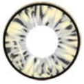 I.Fairy Cara Grey (1 lens/pack)-Colored Contacts-UNIQSO UK