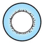 I.Fairy Moonlite Blue (1 lens/pack)-Colored Contacts-UNIQSO UK