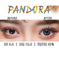I.Fairy Pandora Grey (1 lens/pack)-Colored Contacts-UNIQSO UK