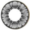 I.Fairy Tofi Grey (1 lens/pack)-Colored Contacts-UNIQSO UK