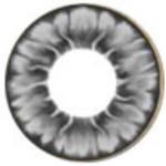 I.Fairy Tofi Grey (1 lens/pack)-Colored Contacts-UNIQSO UK