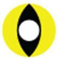 Kazzue Crazy Lens with Power - Cat Eyes (1 lens/pack)-Crazy Contacts-UNIQSO UK