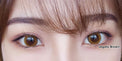 Kazzue Legato Brown (1 lens/pack)-Colored Contacts-UNIQSO UK