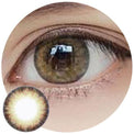 Kazzue Pro Coffee Brown (1 lens/pack)-Colored Contacts-UNIQSO UK