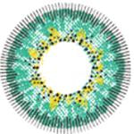 Kazzue Snow Elf (1 lens/pack)-Colored Contacts-UNIQSO UK