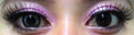 Phantasee BE Lovely Grey (2 lenses/pack)-Colored Contacts-UNIQSO UK
