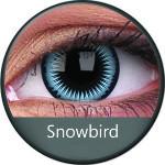 Phantasee Crazy Blue Snowbird (2 lenses/pack)-Crazy Contacts-UNIQSO UK