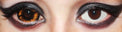 Phantasee Gold Sclera Contacts Morbius (2 lenses/pack)-Sclera Contacts-UNIQSO UK