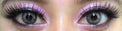 Phantasee Mellow Passion Pearl (2 lenses/pack)-Colored Contacts-UNIQSO UK