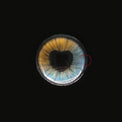 Sweety Anime Shining Heart Blue Brown (1 lens/pack)-Colored Contacts-UNIQSO UK