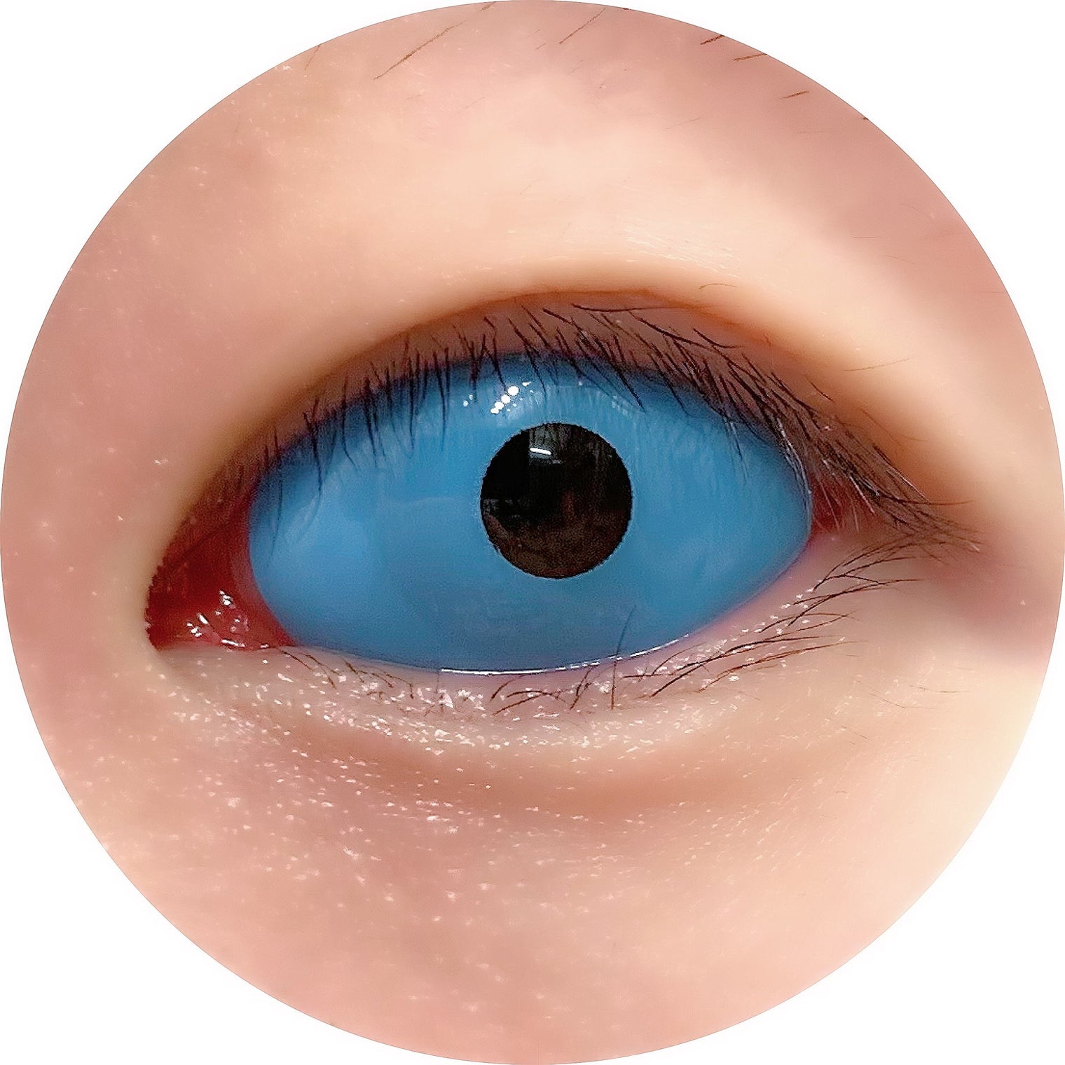 Sweety Blue Sclera Contacts (1 lens/pack)-Sclera Contacts-UNIQSO UK