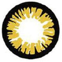Sweety Crazy BT Yellow (1 lens/pack)-Crazy Contacts-UNIQSO UK
