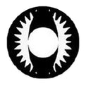 Sweety Crazy Black Dragon (1 lens/pack)-Crazy Contacts-UNIQSO UK