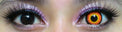 Sweety Crazy Orange Werewolf (1 lens/pack)-Crazy Contacts-UNIQSO UK