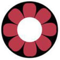 Sweety Crazy Pink Flower (1 lens/pack)-Crazy Contacts-UNIQSO UK