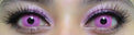 Sweety Crazy Posy Pink (1 lens/pack)-Crazy Contacts-UNIQSO UK