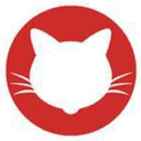 Sweety Crazy Red Cat (1 lens/pack)-Crazy Contacts-UNIQSO UK