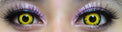 Sweety Crazy Solar Eclipse (1 lens/pack)-Crazy Contacts-UNIQSO UK