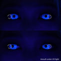 Sweety Crazy UV Glow White (1 lens/pack)-UV Contacts-UNIQSO UK