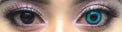 Sweety Crazy Undead Fusion Blue (1 lens/pack)-Crazy Contacts-UNIQSO UK