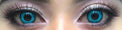 Sweety Crazy Undead Fusion Blue (1 lens/pack)-Crazy Contacts-UNIQSO UK