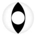 Sweety Crazy White Cat (1 lens/pack)-Crazy Contacts-UNIQSO UK