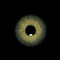 Sweety Magnificent Amazonia Green (1 lens/pack)-Colored Contacts-UNIQSO UK