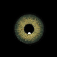 Sweety Magnificent Amazonia Green (1 lens/pack)-Colored Contacts-UNIQSO UK