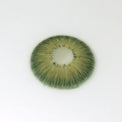 Sweety Magnificent Amazonia Green (1 lens/pack)-Colored Contacts-UNIQSO UK