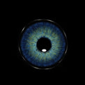 Sweety Magnificent Antarctic Blue (1 lens/pack)-Colored Contacts-UNIQSO UK