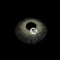 Sweety Magnificent Icy Volcano (1 lens/pack)-Colored Contacts-UNIQSO UK
