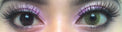 Sweety Ocean Brown Green (1 lens/pack)-Colored Contacts-UNIQSO UK