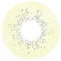 Sweety Ocean Brown Green (1 lens/pack)-Colored Contacts-UNIQSO UK