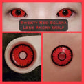 Sweety Red Sclera Contacts Angry Wolf (1 lens/pack)-Sclera Contacts-UNIQSO UK