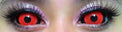 Sweety Sclera Contacts Red Dracul (1 lens/pack)-Sclera Contacts-UNIQSO UK