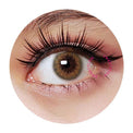 Sweety Venus Grey (1 lens/pack)-Colored Contacts-UNIQSO UK