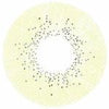 Sweety Ocean Brown Green (1 lens/pack)-Colored Contacts-UNIQSO