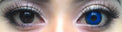 Sweety Crazy Hell Reaper (1 lens/pack)-Crazy Contacts-UNIQSO