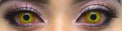 Sweety Crazy Yellow Sun / Pennywise (1 lens/pack)-Crazy Contacts-UNIQSO