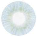 Urban Layer Alaska Grey (1 lens/pack)-Colored Contacts-UNIQSO UK