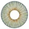 Urban Layer Angeles Grey (1 lens/pack)-Colored Contacts-UNIQSO UK